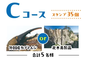 Cコース 外国産カブトムシまたは北木島製品 合計5名様