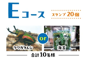 Eコース クワガタムシまたは海苔 合計10名様