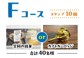 Fコース 笠岡の銘菓またはカブトガニバッジ 合計40名様